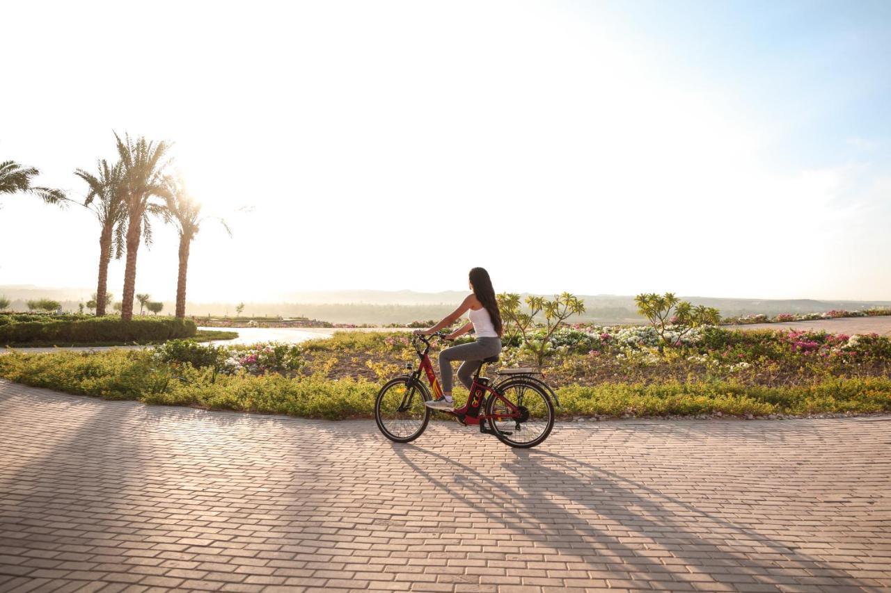 The Zen Wellness Resort Asuán