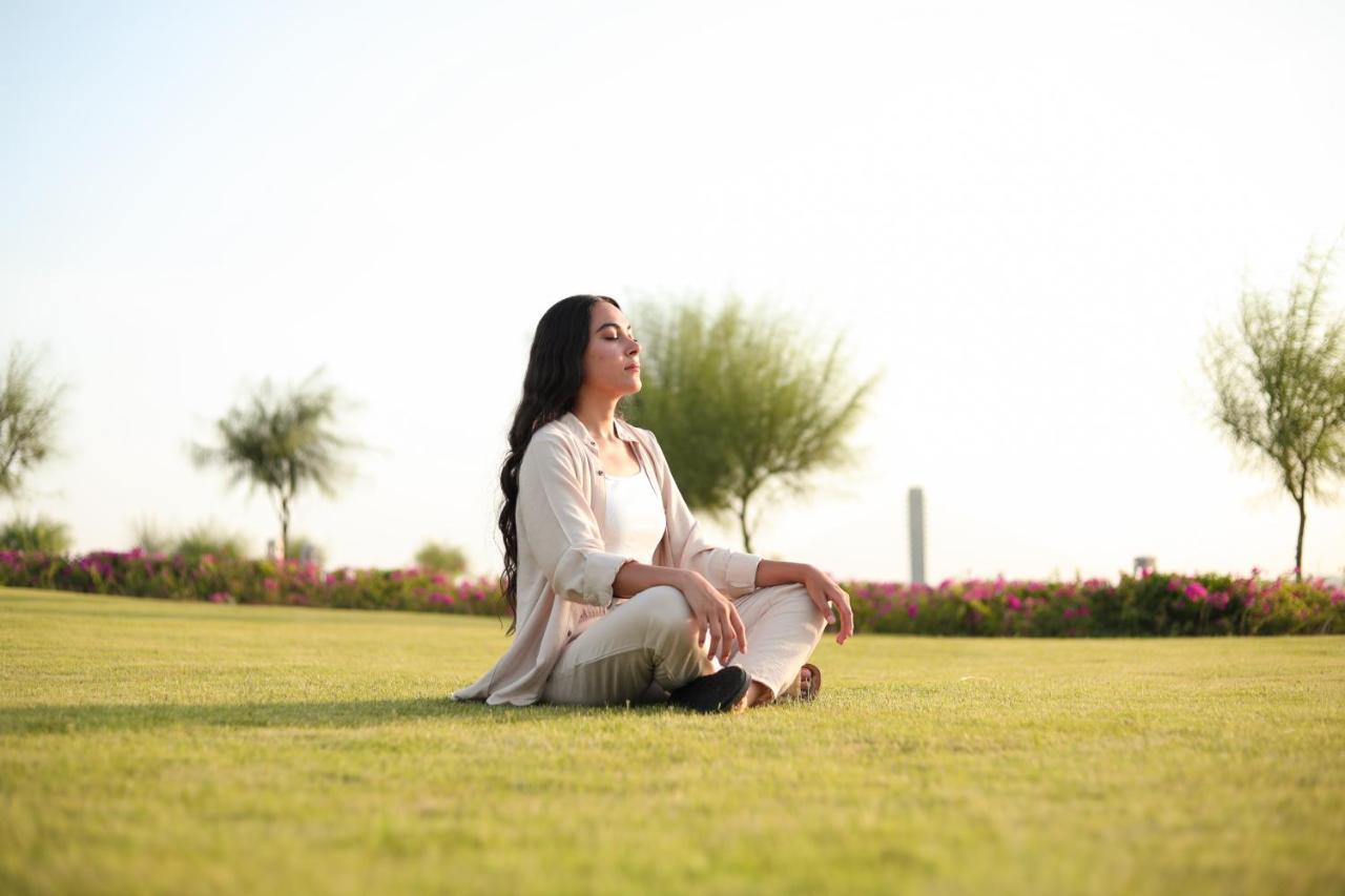The Zen Wellness Aswan