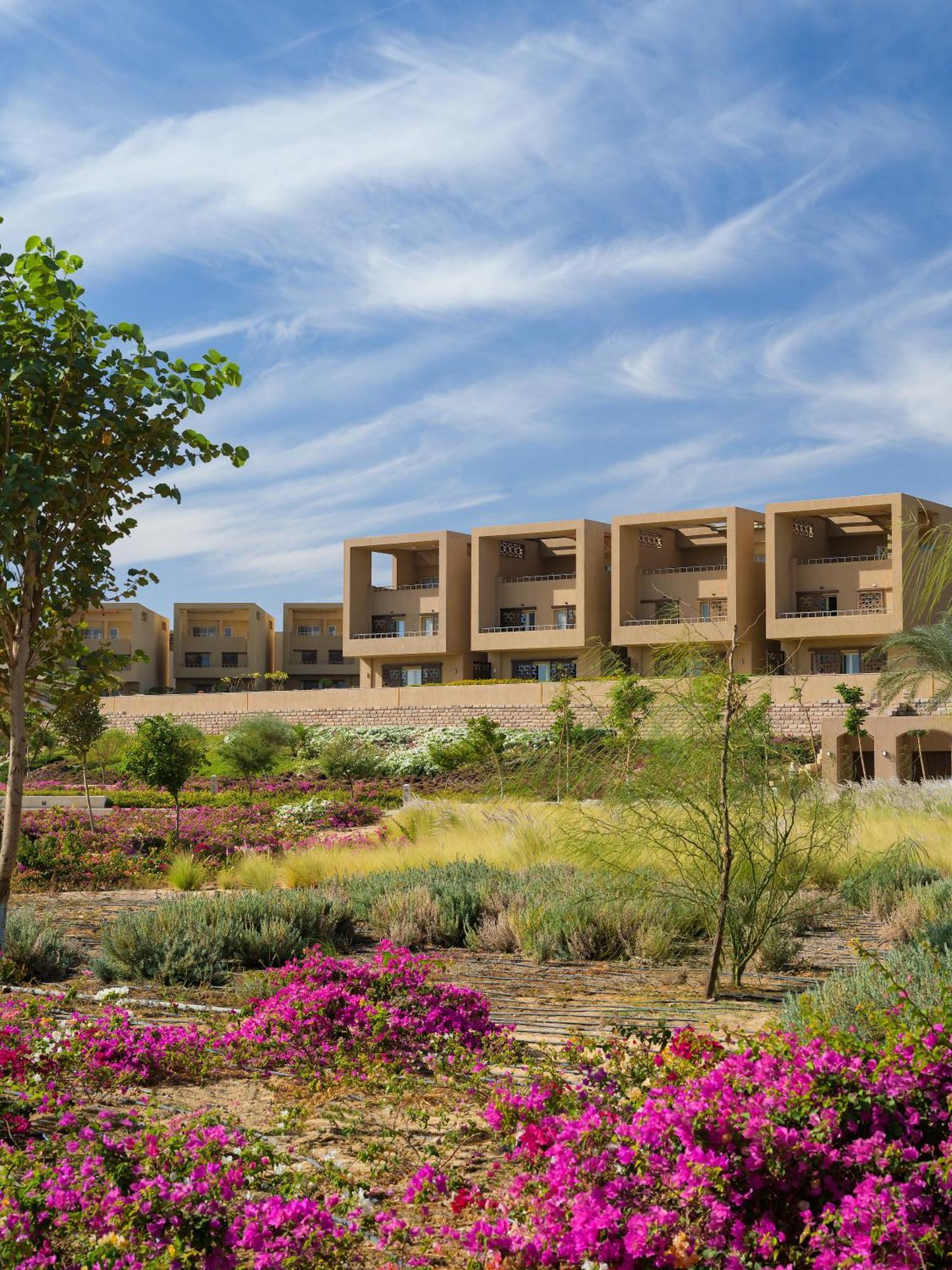 The Zen Wellness Aswan