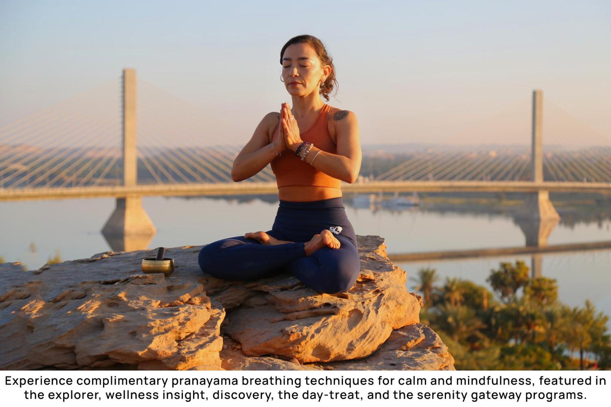 The Zen Wellness Resort 5*